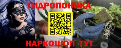 индика Наро-Фоминск
