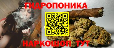 дмт Нальчик