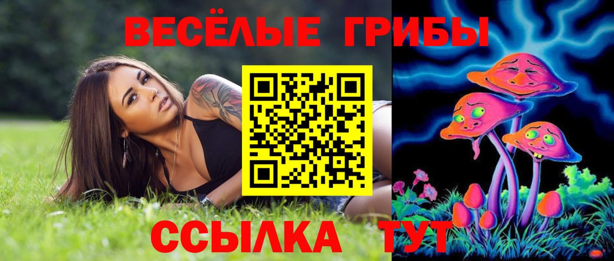 Химки  Псилоцибиновые грибы прущие грибы  Вход с VPN  Псилоцибиновые грибы прущие грибы 